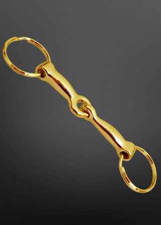 Gold metal bridle bit on a dark gray background