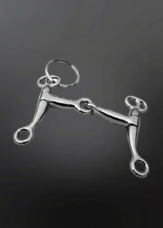 Metal horse bridle bit on a dark background